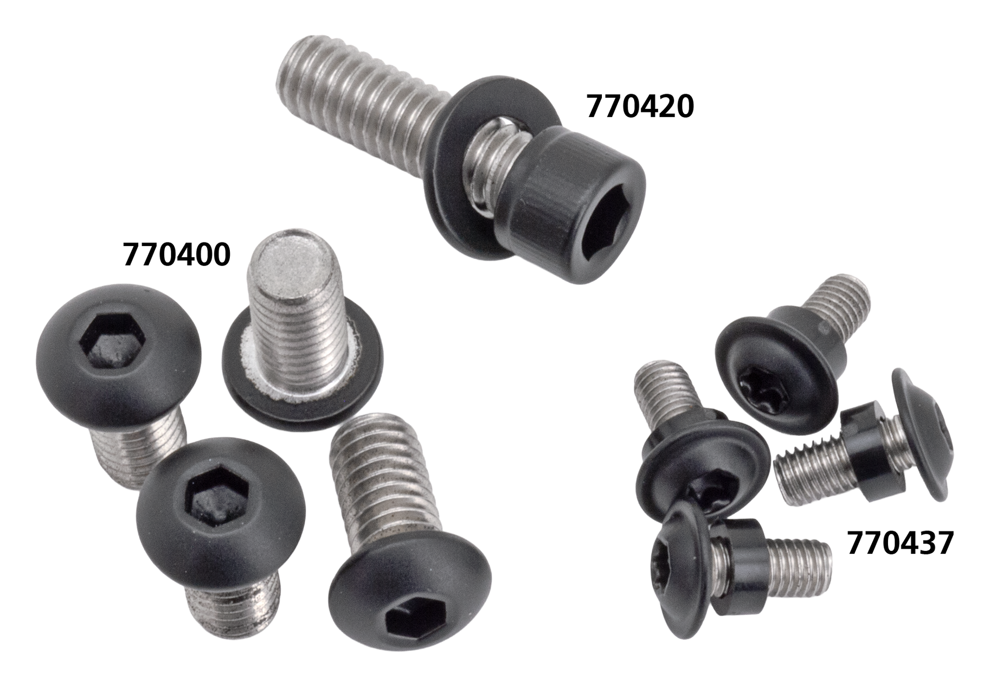 Screws4Bikes Black Belt Guard Screw Kits – Final Drive