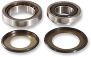 Pivot Works Steering Stem Bearing Kit For Honda