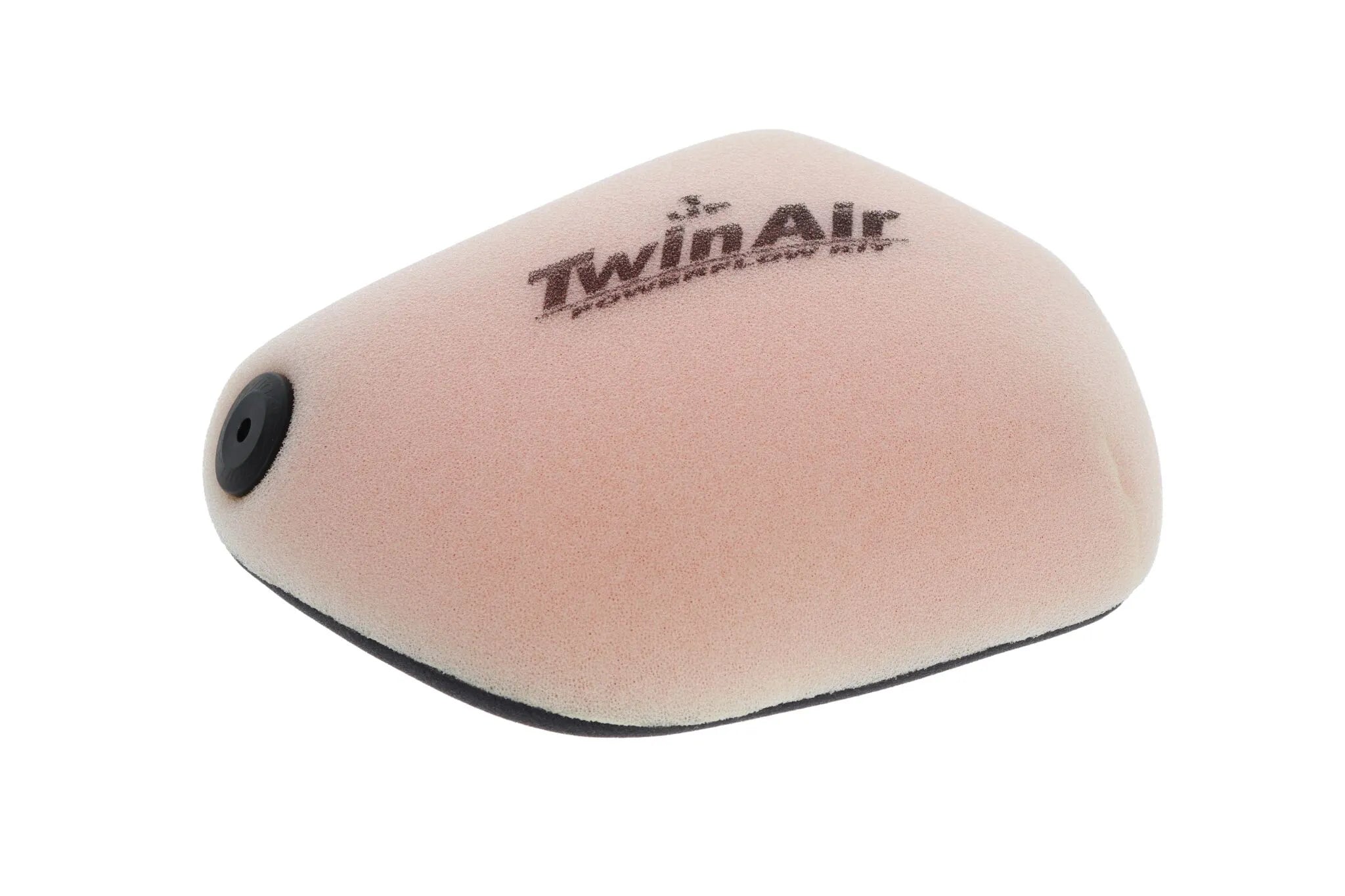 Twin Air Air Filter