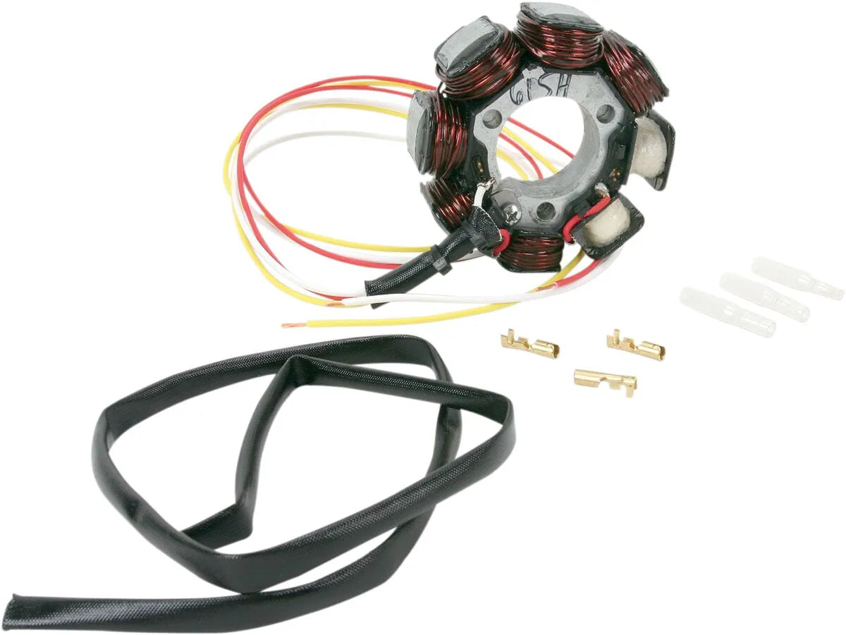 Rick's Motorsport Electric Stator