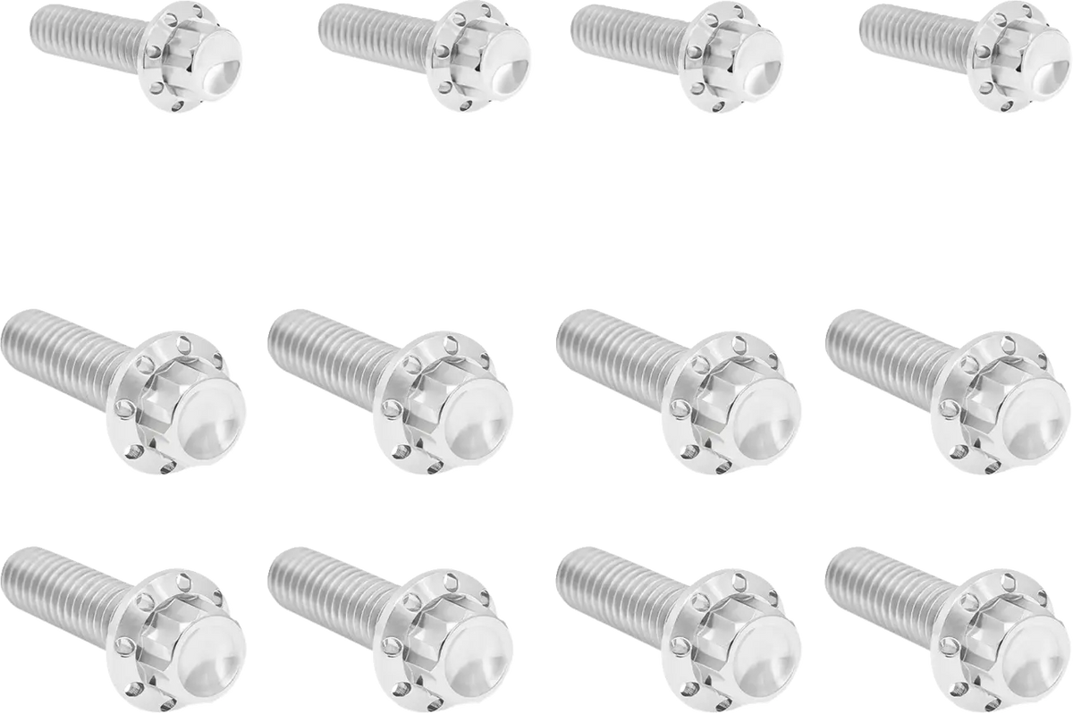 Arlen Ness M8 12-Point Titanium Polished Transmission Bolt Kit