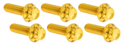 Arlen Ness Transmission Top Cover Titanium 12-POINT Bolt Kits – Hardware