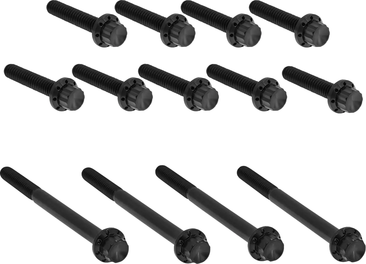 Arlen Ness Titanium 12-Point Black Outer Primary Bolt Kit TC