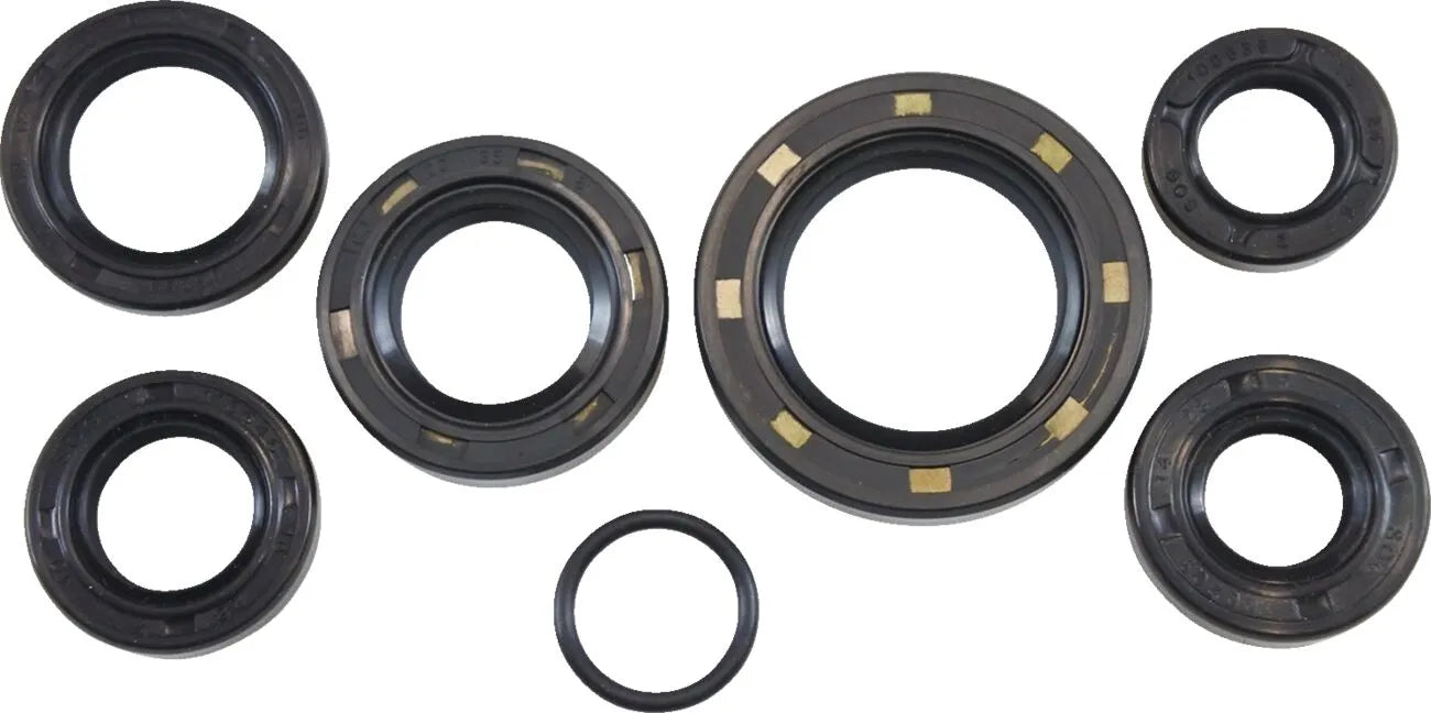 Vintco Oil Seal Kit for Motorcycle Engine Rebuilds