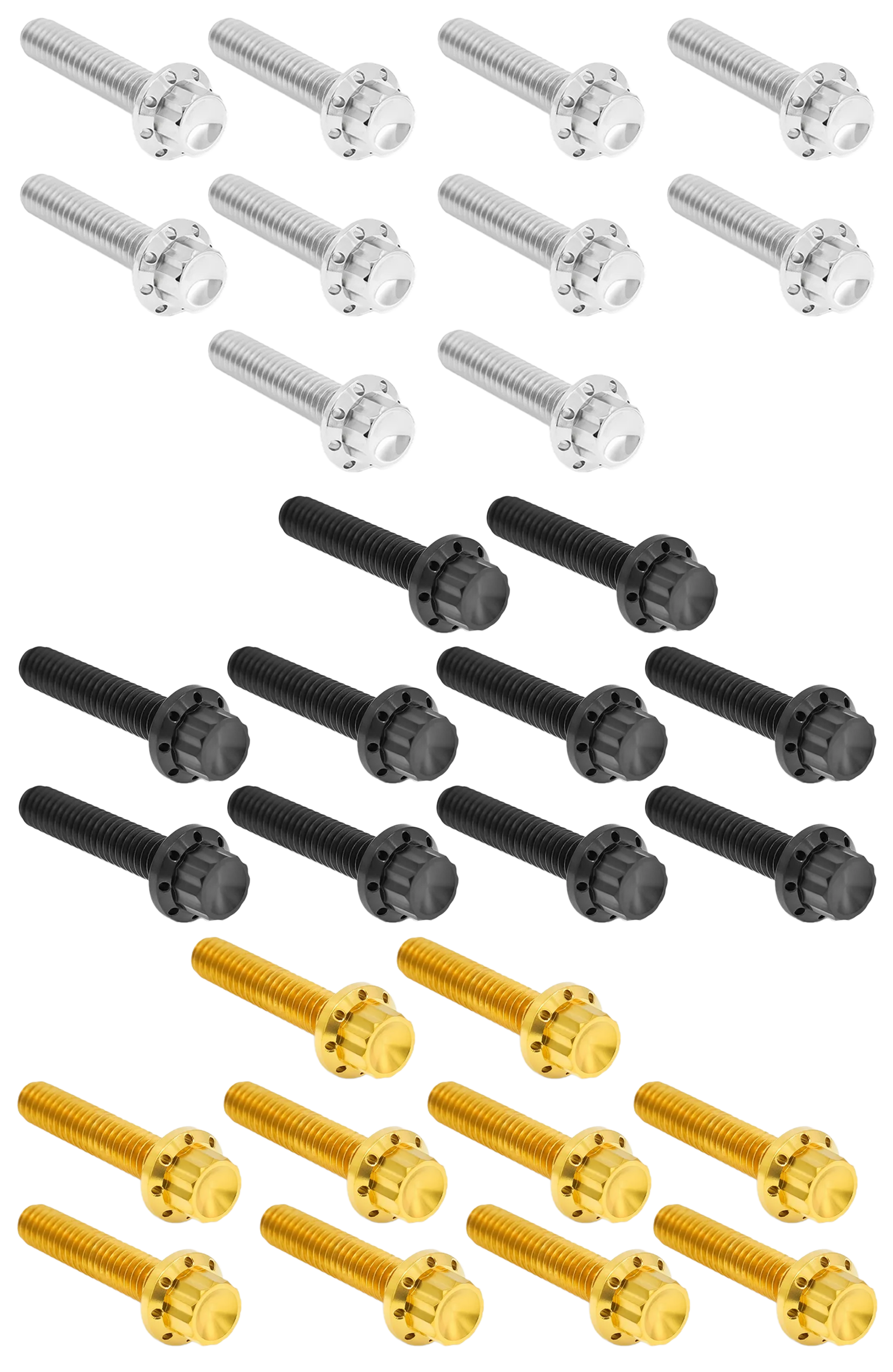 Arlen Ness Cam & Point Cover Titanium 12-POINT Bolt Kits – Hardware