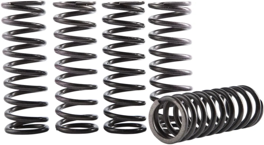 Hinson Racing Clutch Spring Kit
