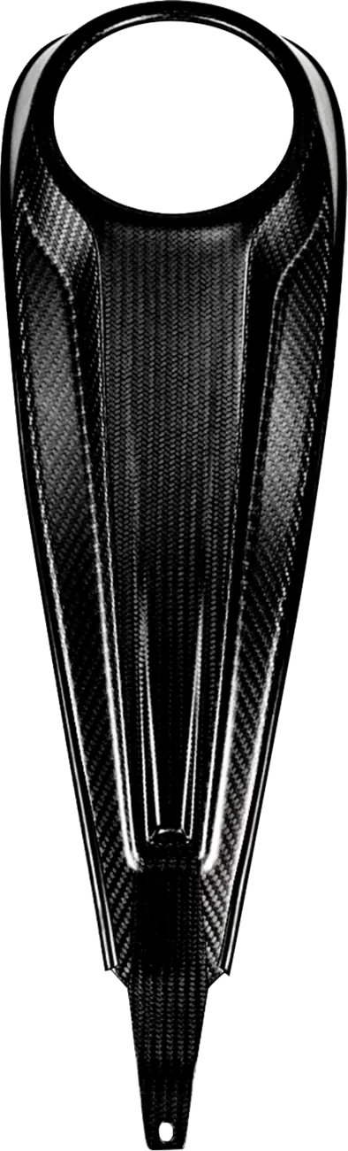 Saddlemen Carbon Fiber Dash Panel for Touring Models