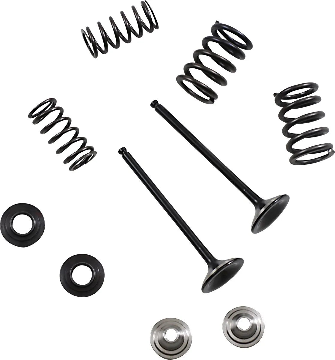 Moose Offroad Exhaust Valve And Spring Kit