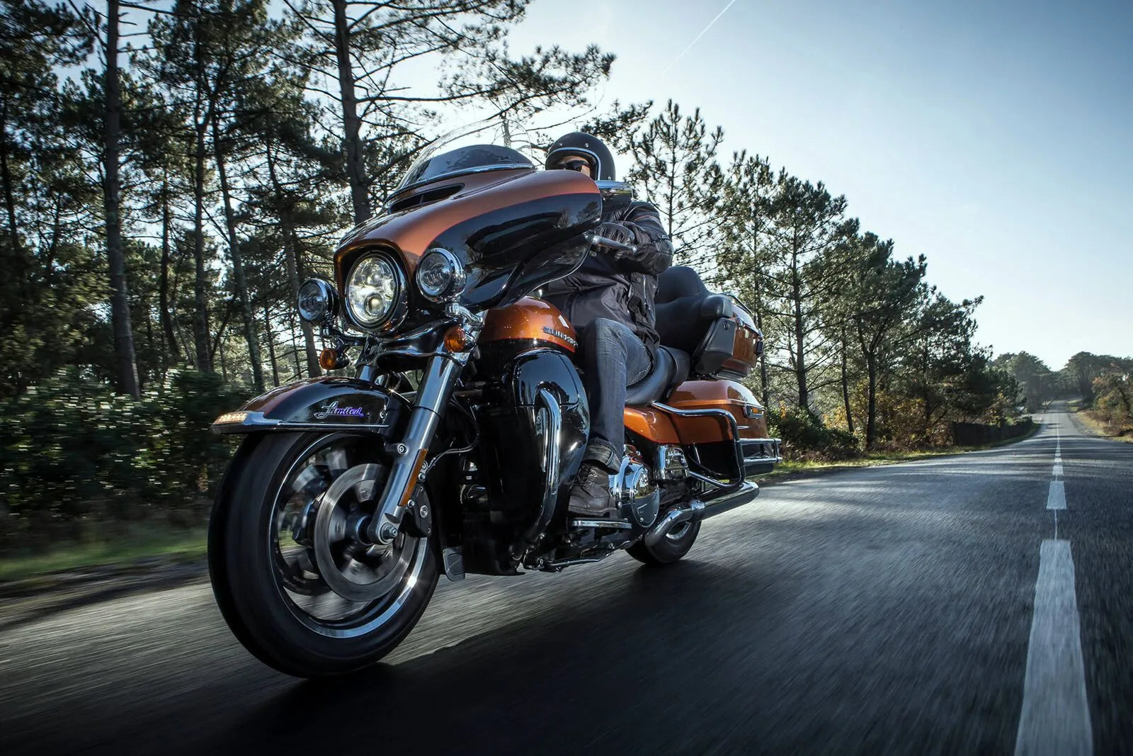 Michelin Scorcher 31 Tire For Harley-davidson