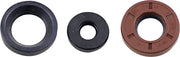 Vertex Engine Oil Seal Kit