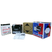 Parts Europe Agm Maintenance-free Battery 18 Ah