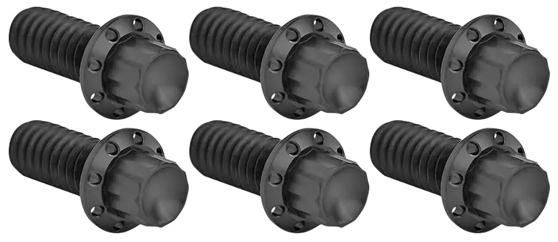 Arlen Ness Derby Cover Titanium 12-POINT Bolt Kits – Hardware