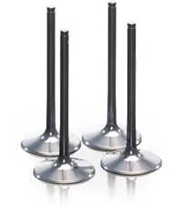 Prox Titanium Intake Valve