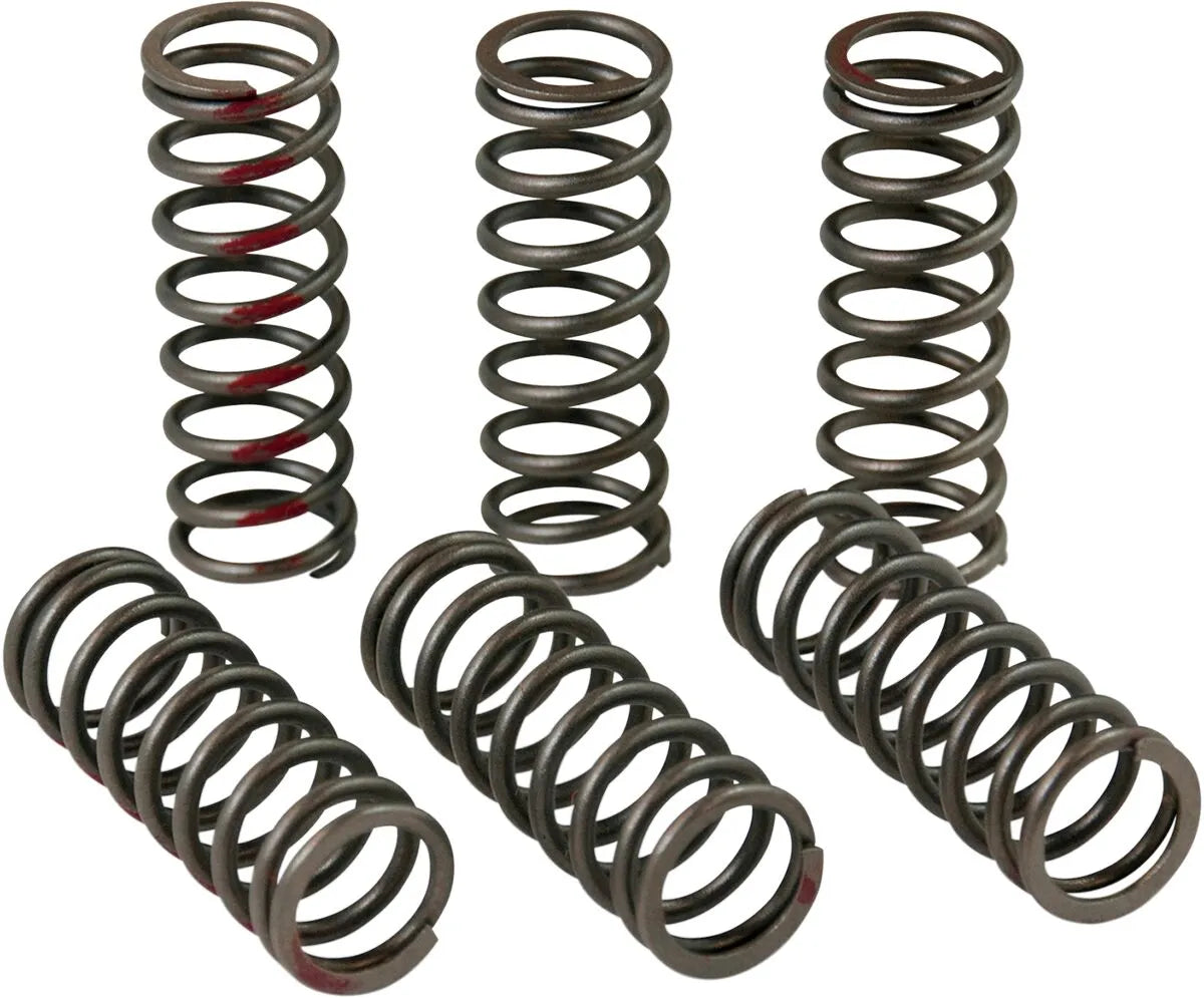 Pro Circuit Clutch Spring Set