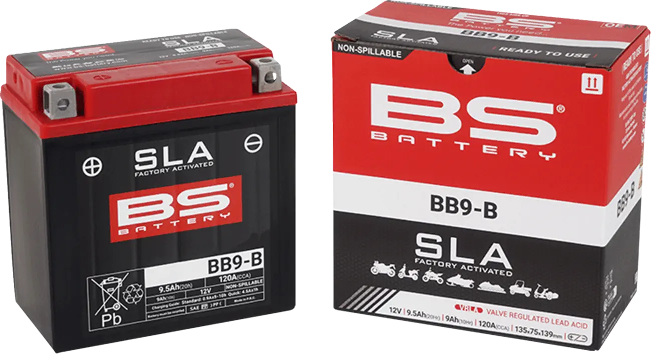 Bs Battery Agm 12v 9ah - Maintenance-free Battery
