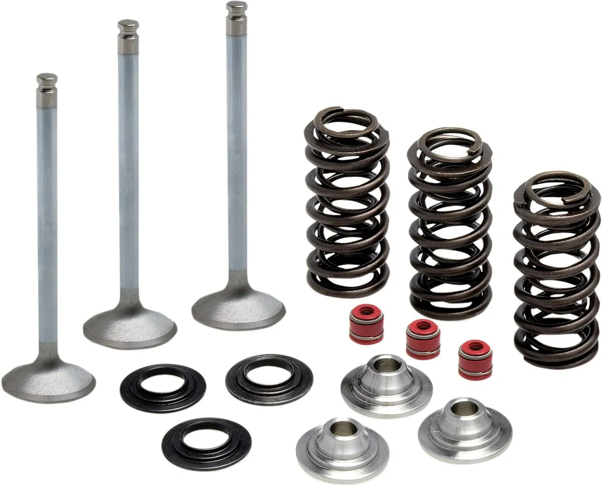 Kibblewhite Stainless Intake Valve Spring Kit