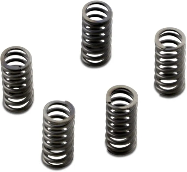 Ebc Csk Series Heavy Duty Clutch Spring Kit