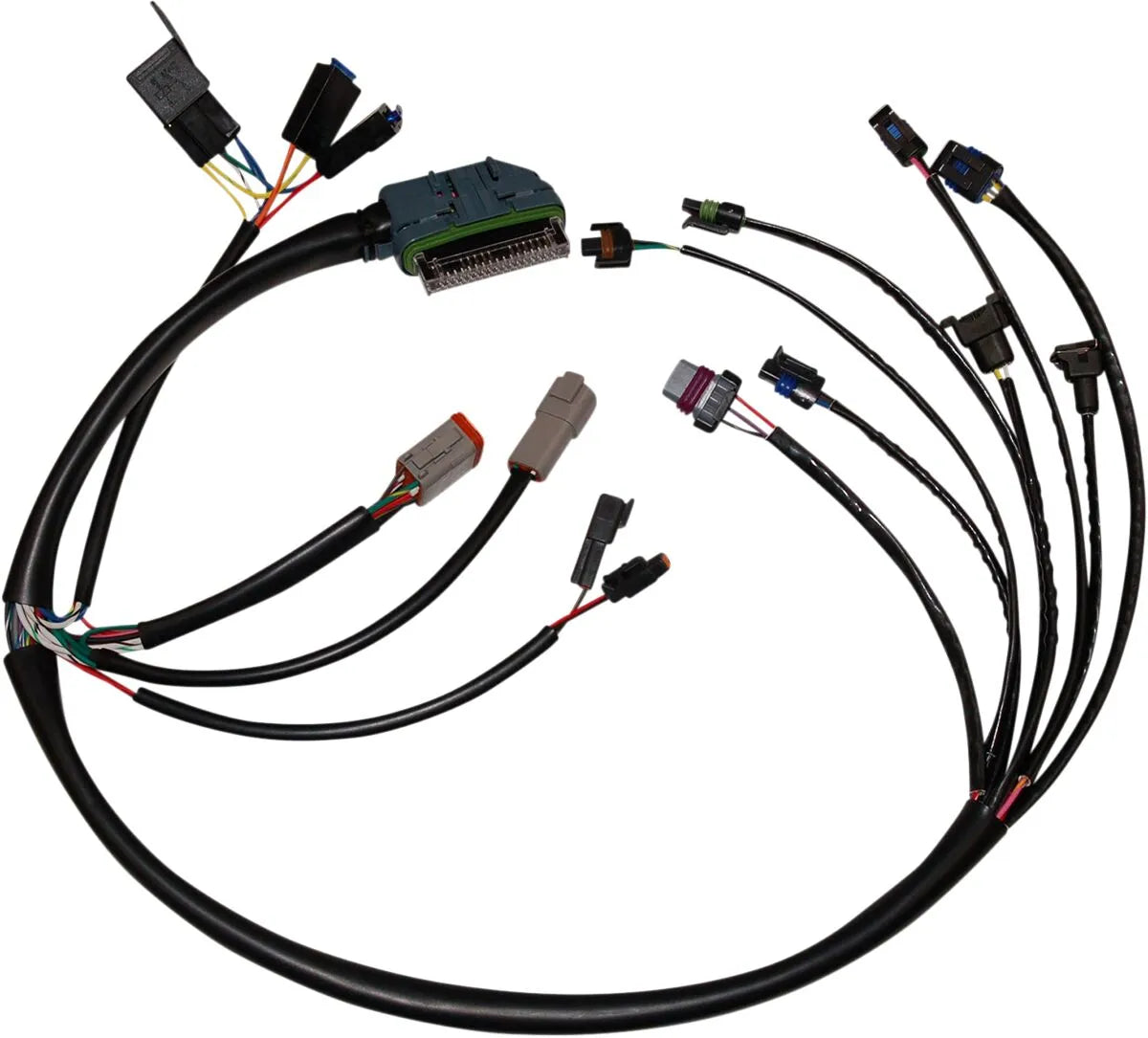 Namz EFI Wiring Harness for Harley Davidson