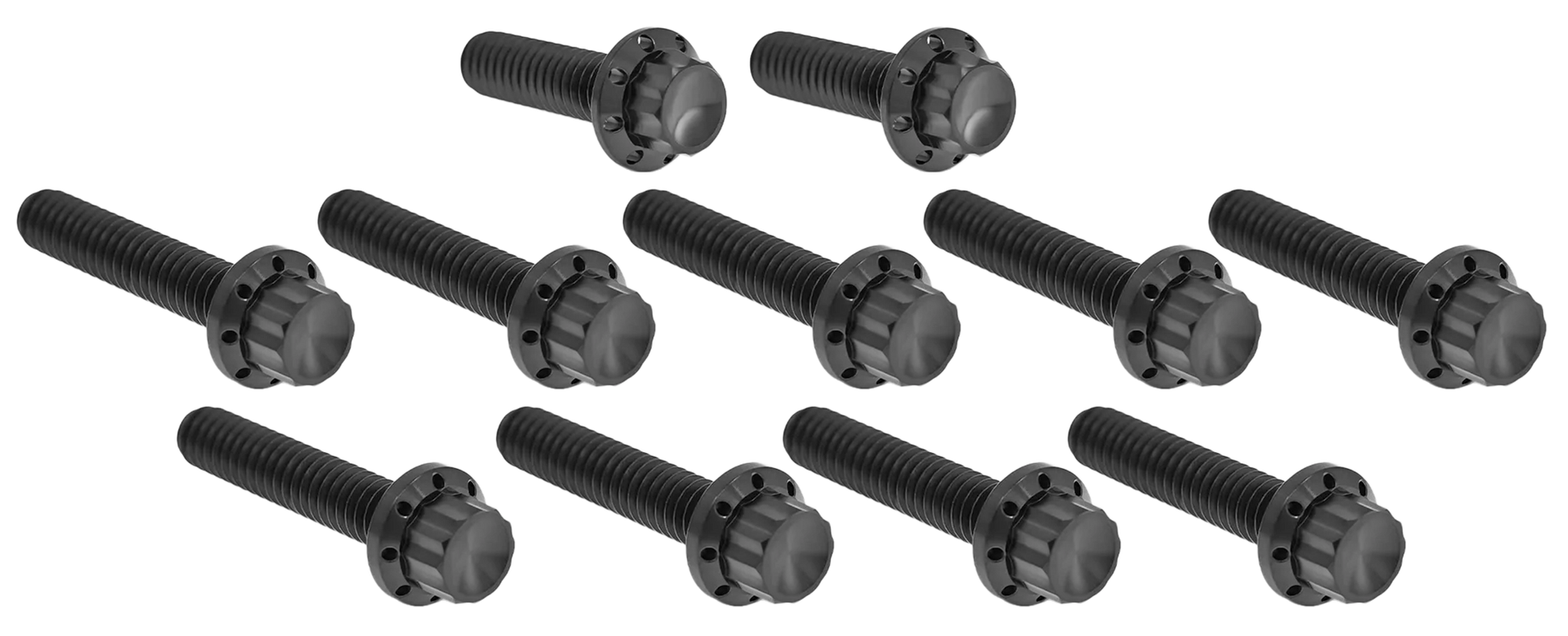 Arlen Ness Cam & Point Cover Titanium 12-POINT Bolt Kits – Hardware