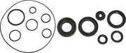 Vintco Oil Seal Kit for Engine Lower End