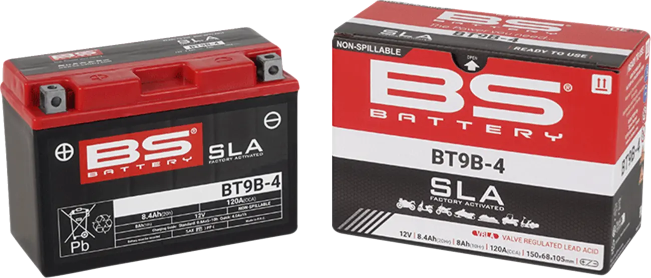 Bs Battery Agm Maintenance-free Battery