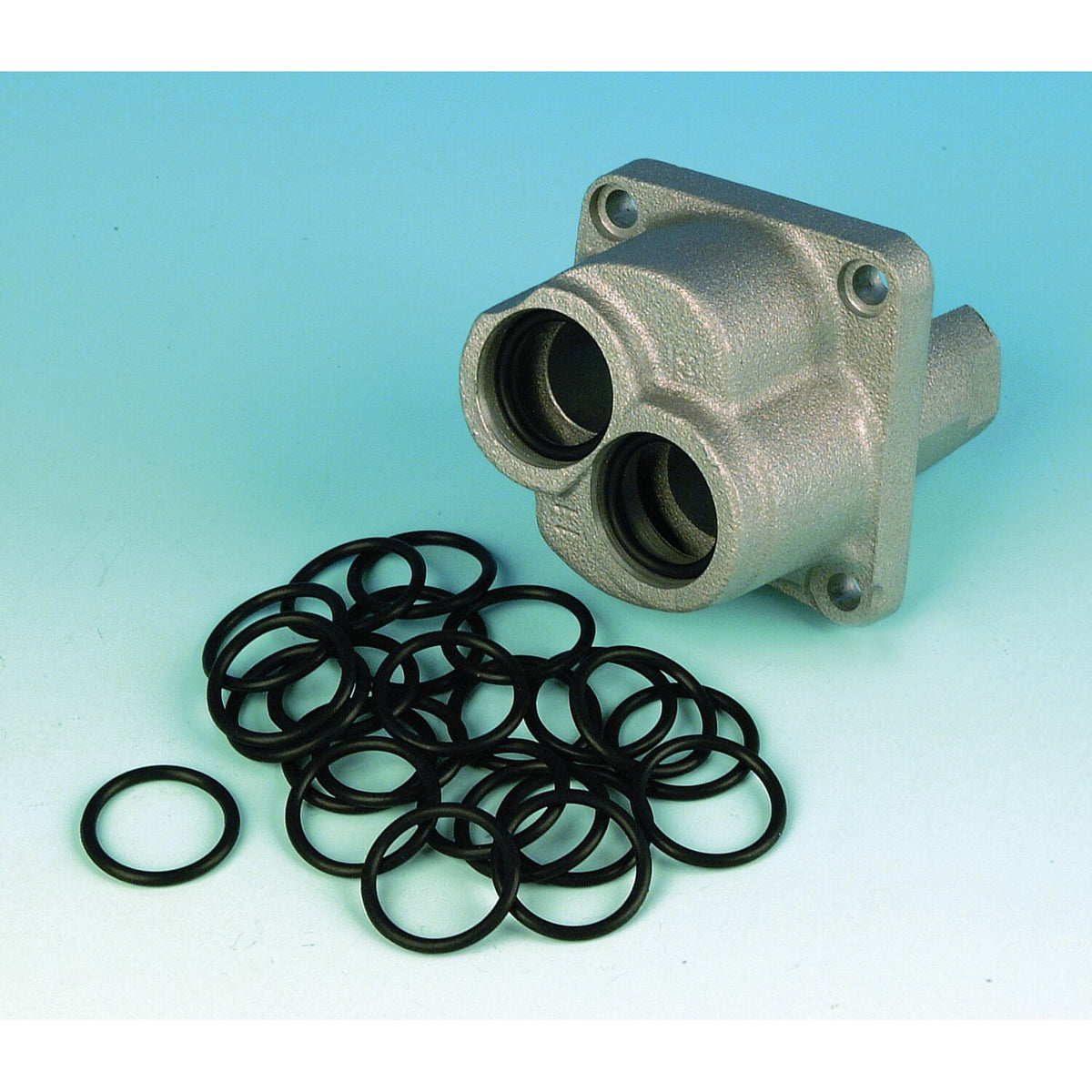 James Gaskets James pushrod cover O-ring - Lower