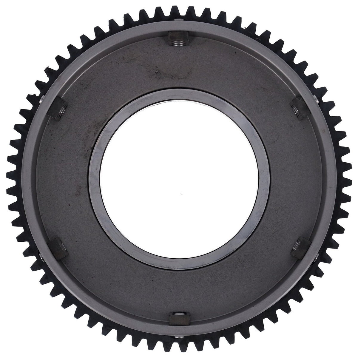 Belt Drives Ltd. Bdl rear pulley 1 1/2" 8mm 61t