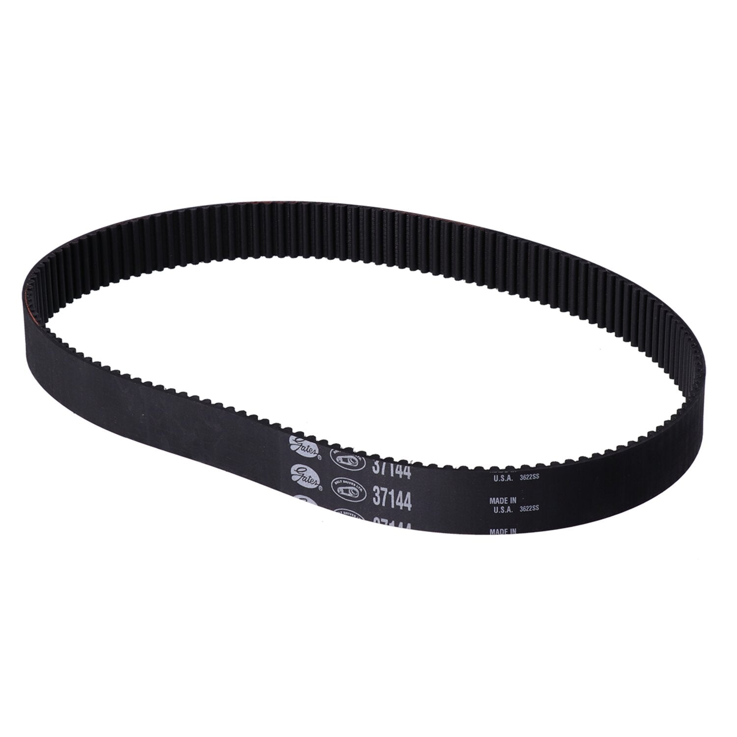 Belt Drives Ltd. repl - primary belt - 1-1/2" 144T 8mm pitch