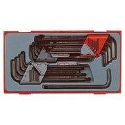Teng Tools Allen & Torx wrench set