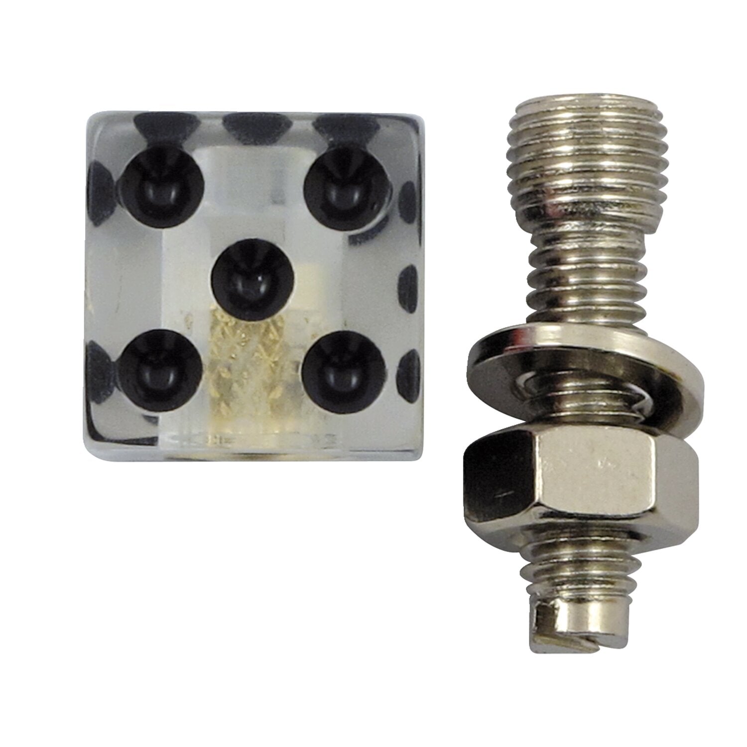 Trik Topz license plate mounts Dice clear