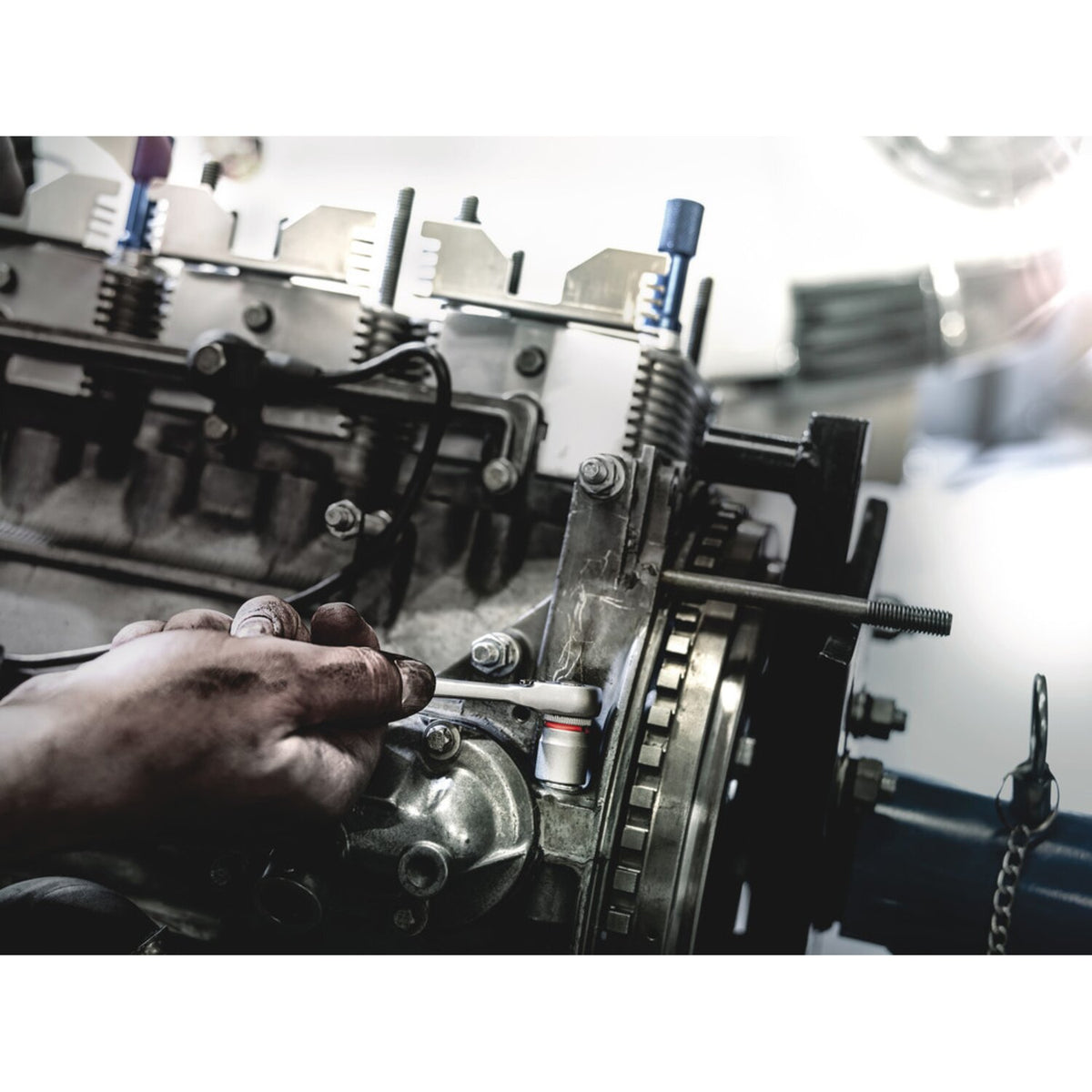 Wera Zyklop 1/4" socket - Metric 12.0