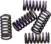Hinson Racing Hi-temp Clutch Spring Kit