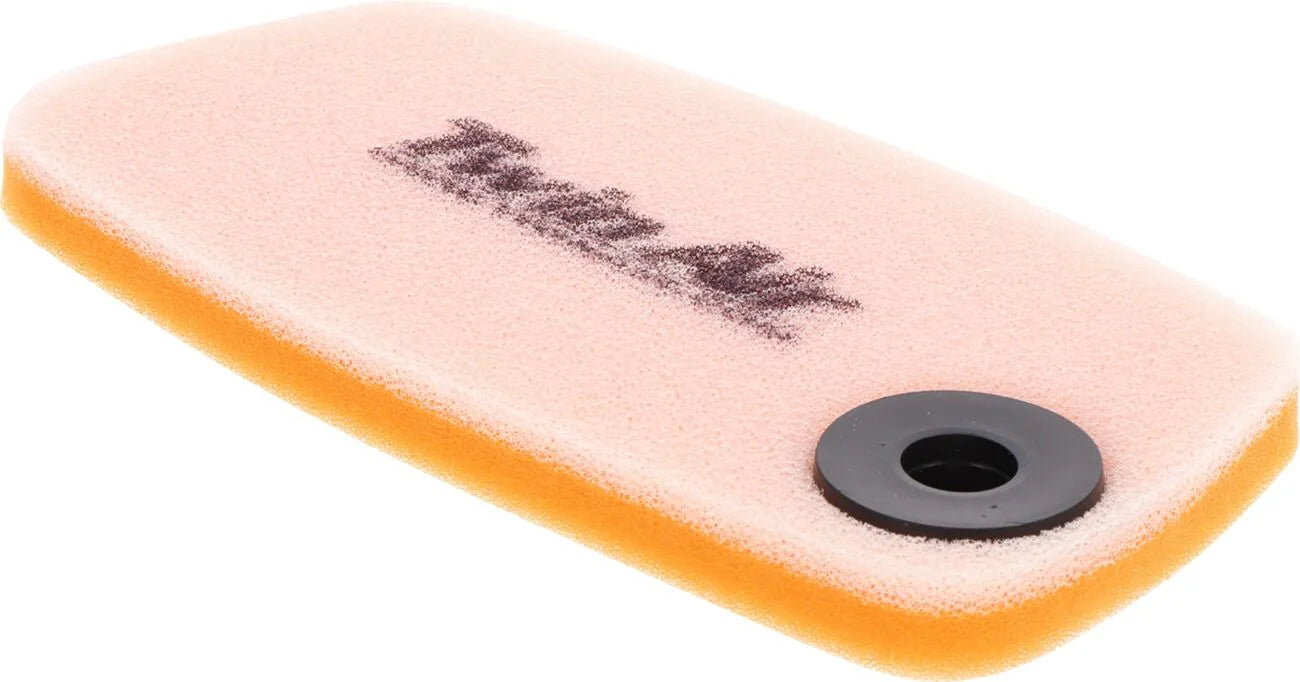 Twin Air Standard Air Filter