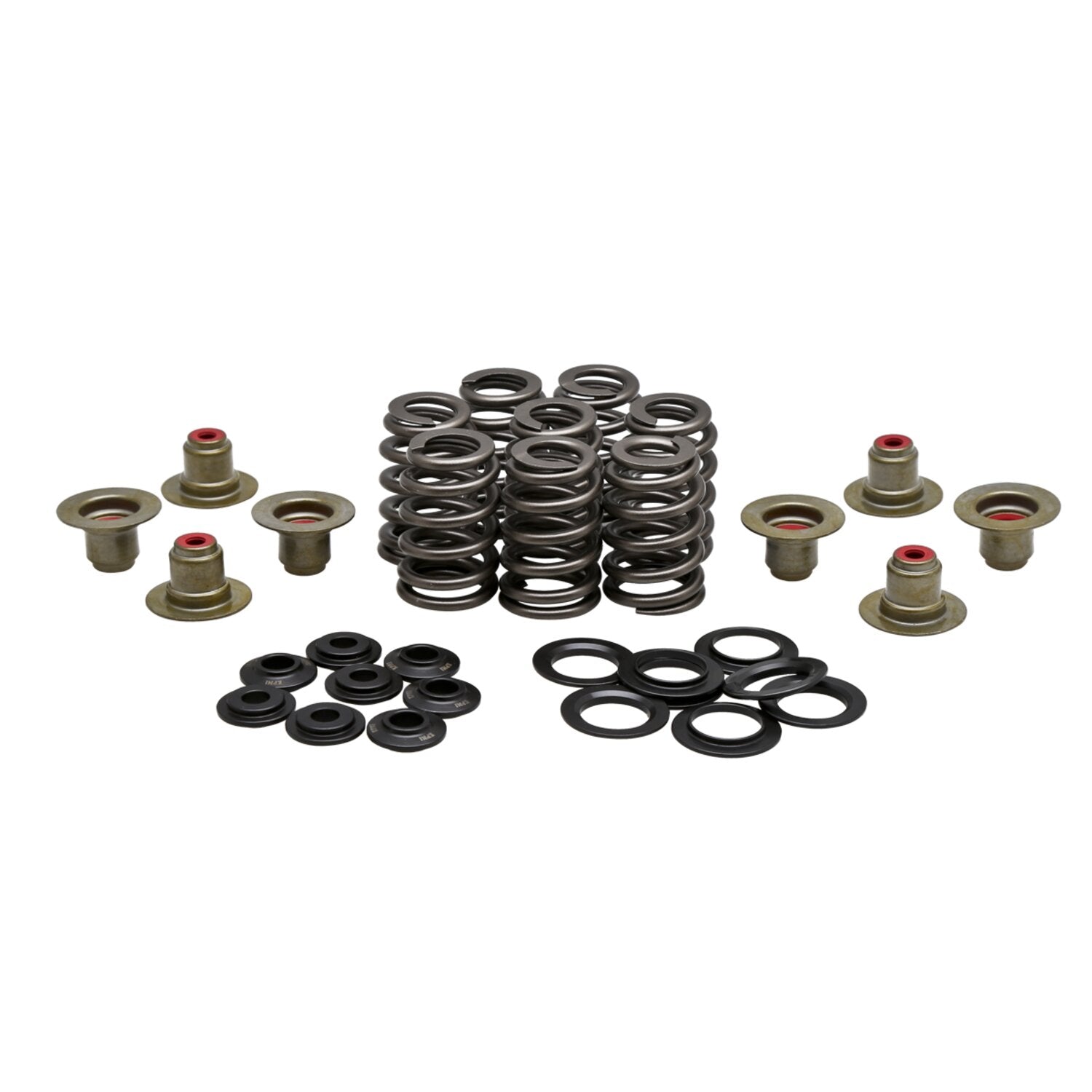 Kibblewhite KPMI .550" high lift valve spring kit - Steel