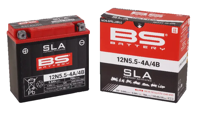 Bs Battery Agm Maintenance-free Battery 12v 5.5ah