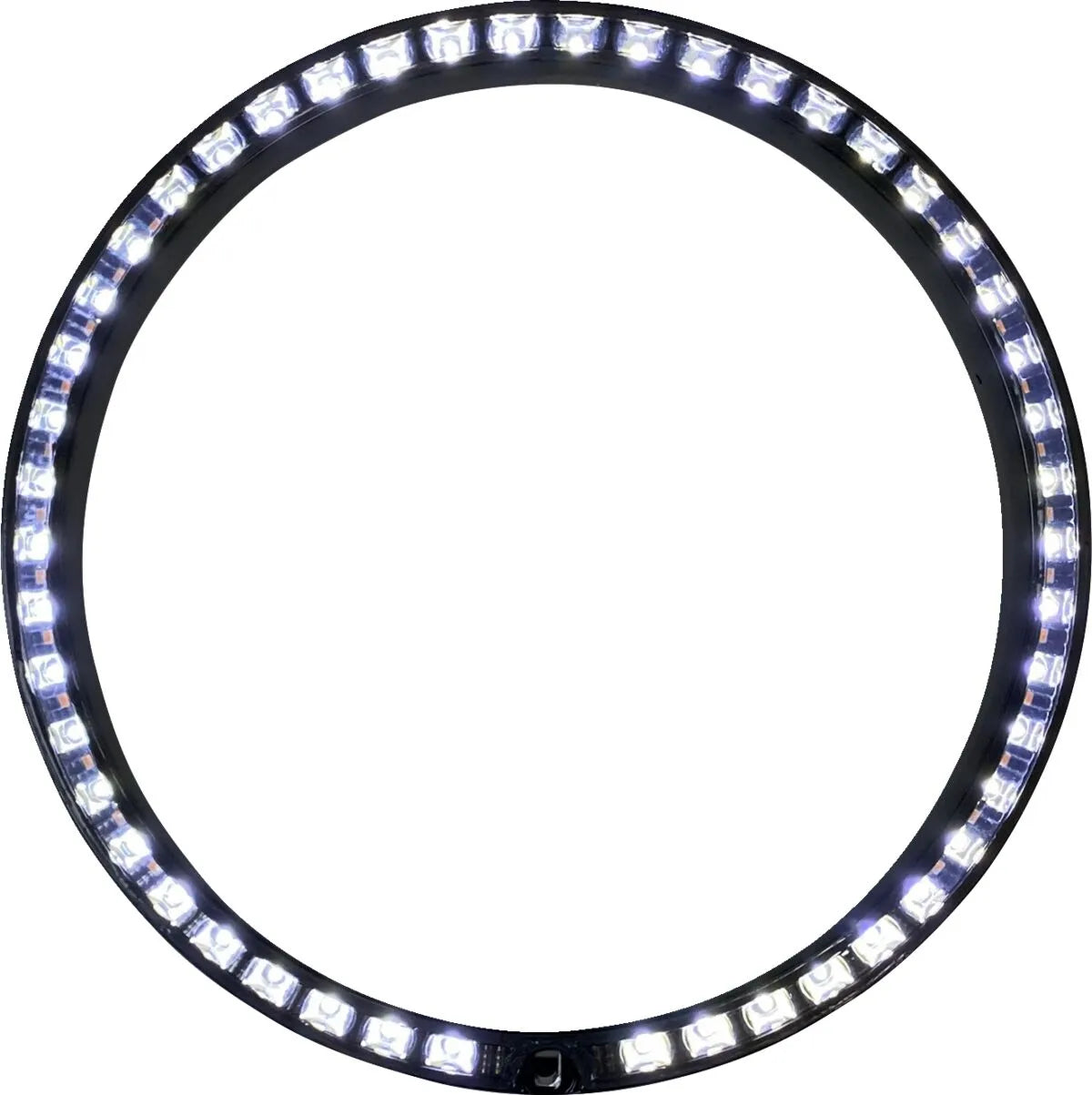 Custom Dynamics Probeam Turn Signal Ring Trim