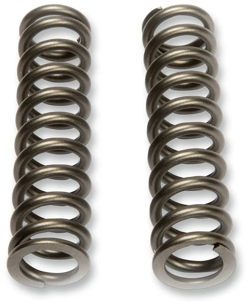 Kyb Fork Spring