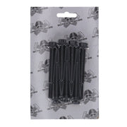 Screws4Bikes crankcase bolt kit - Titan 2Drive - Black
