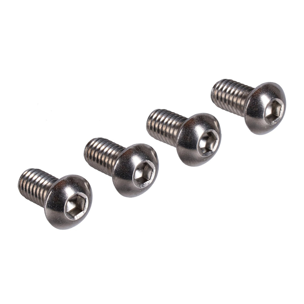 Screws4Bikes bolt kit rear belt guard