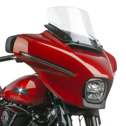 National Cycle VStream® replacement screen - High