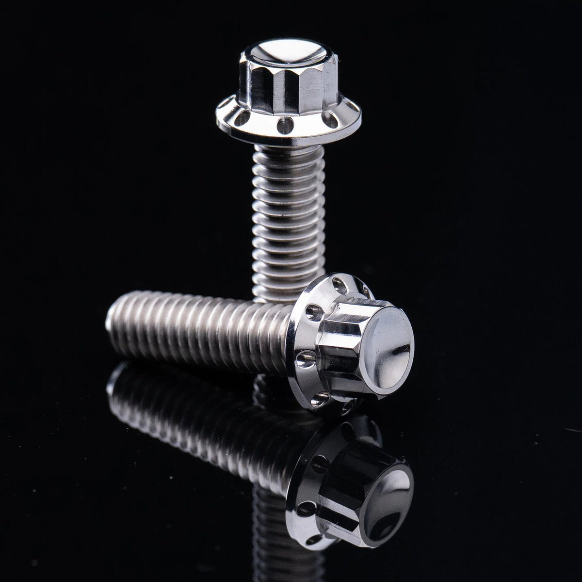 Arlen Ness Titanium 12pt Primary Cover Bolt Kits - Polish
