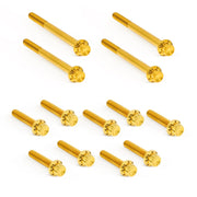Arlen Ness Titanium 12pt Primary Cover Bolt Kits - Gold