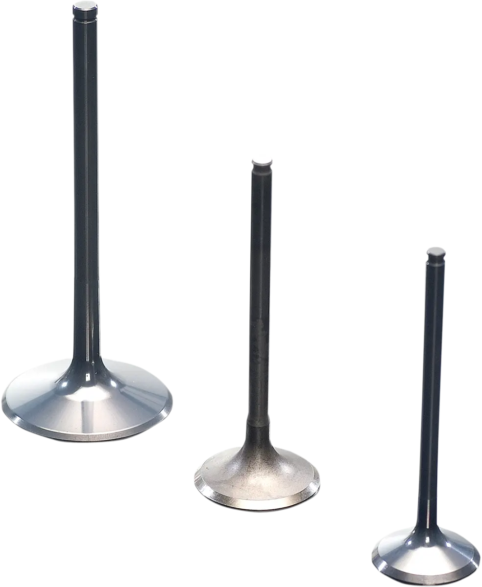 Prox Titanium Intake Valve
