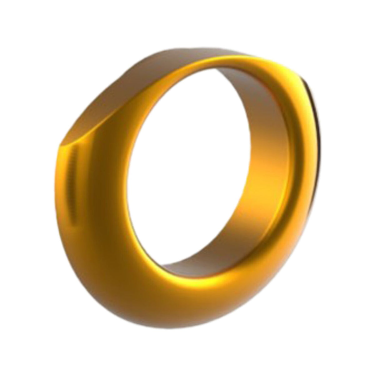 Rick's Motorcycles 'Good Guys 3' air Intake ring - Gold