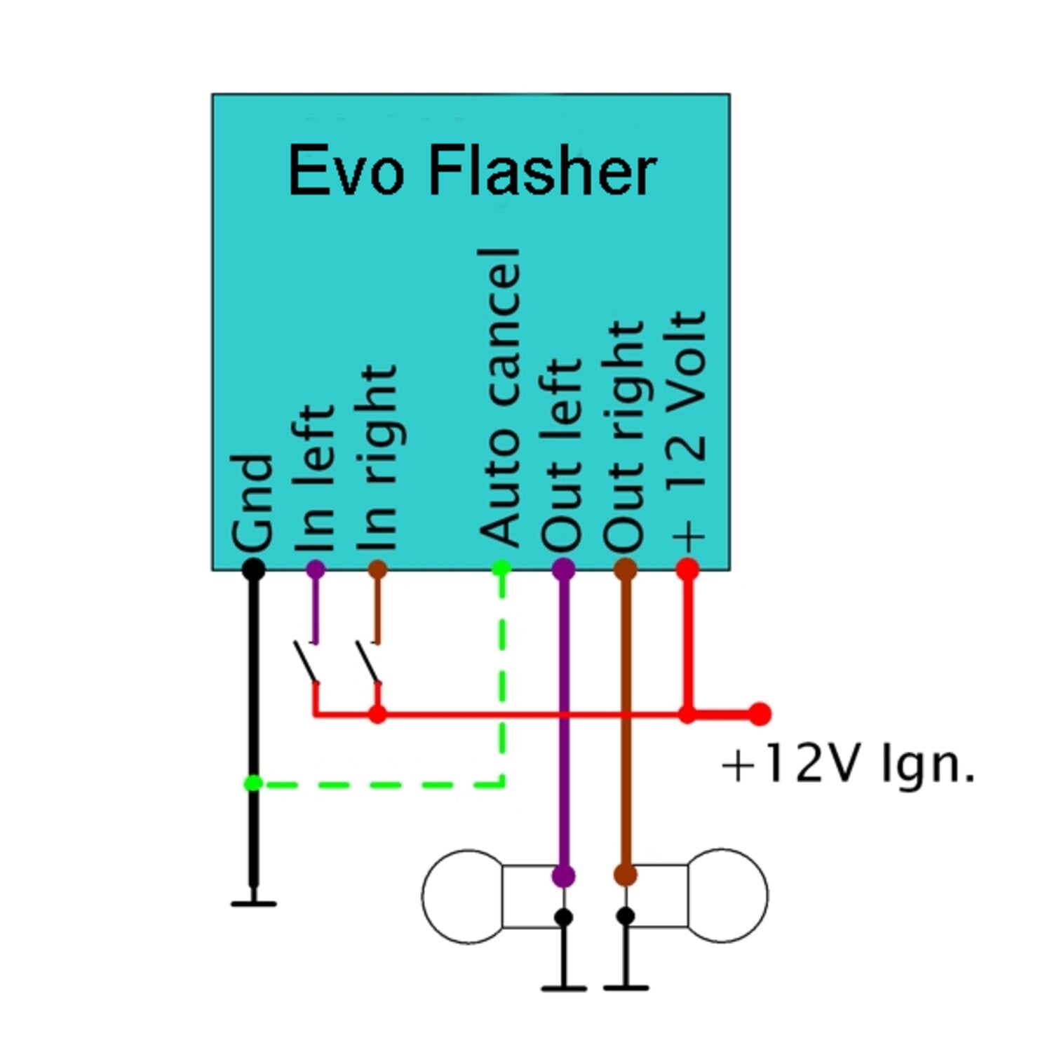 Elektronikbox Axel Joost Elektronik Evo Flasher 3 (96-03)