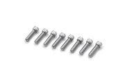 Daytona Screw Set 1/4-20 x 7/8 8-Piece