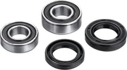 FACTORY LINKS Rear Wheel Bearing Kit