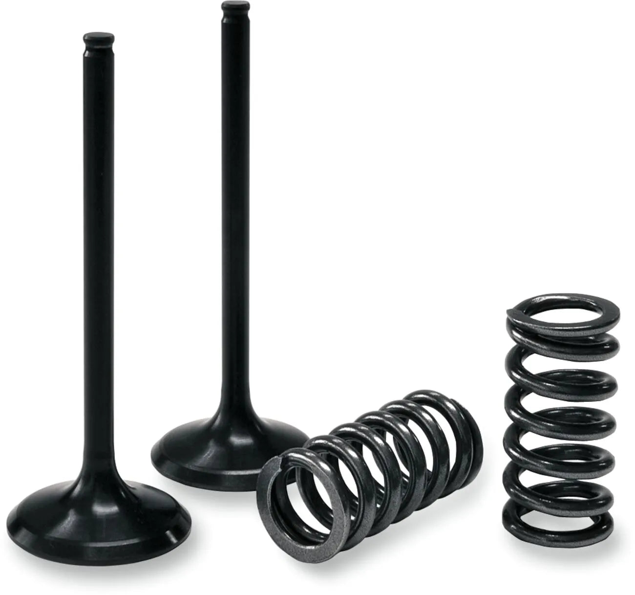 Prox Valve And Spring Kit - Exhaust