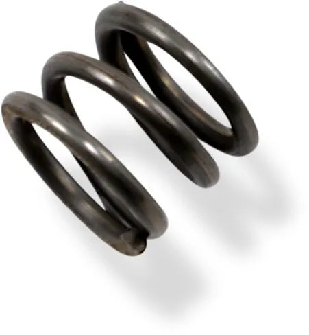 Drag Specialties Replacement Damper Springs For 41mm Forks