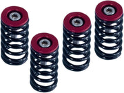 Barnett Clutch Spring Kit